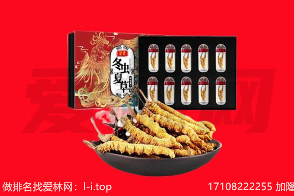 平远县回收虫草.jpg